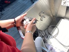 -PETKIT小佩宠物(古北店)