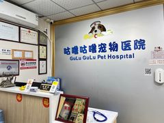 -咕噜咕噜宠物医院·CT·肿瘤科·骨科(前海院)