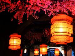 -荷塘秋月·本帮江浙菜(国权路店)