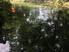 -成都市活水公园