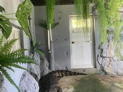 -合肥野生动物园