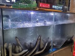 -本炙炭烤·蒲烧活鳗料理店(金沙洲店)