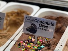 -Dooley's Premium Ice Cream