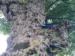 -九龙湾·御膳坊(九龙窠路店)