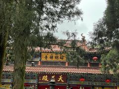 -东天目山风景区