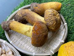 -鲜菌江湖正宗野生菌火锅