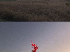 -良渚古城遗址公园