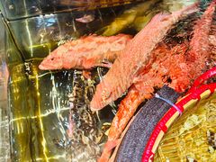 -宁海食府·涌宴(真和店)