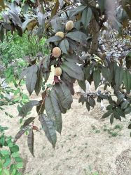 -大望京儿童游乐场