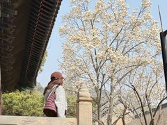 -红螺寺