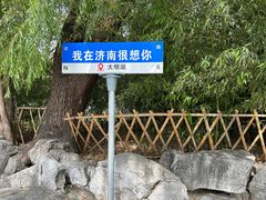 -济南大明湖景区
