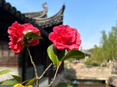 -尚湖风景区