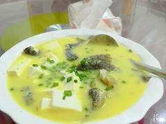 -品雅轩农家乐