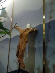 -至爱至信新中式SPA疗愈会所