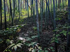 -南山风景名胜区