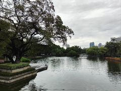 -荔湾湖公园