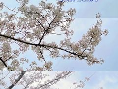 -无锡梅园公园