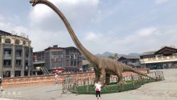 -恐龙探索乐园(磁器口店)