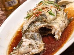 -四世同堂·京菜·烤鸭(双井店)
