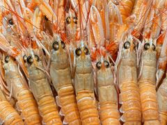 -樱之盛宴·蟹料理海鲜自助(前进大街店)
