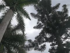 -红色娘子军纪念园