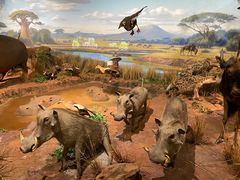 -陕西自然博物馆