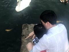 -呀诺达热带雨林