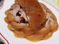 -秀儿四九城·新京菜(亚运村鸟巢店)