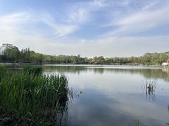 -北坞公园