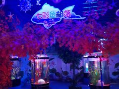 -白鹿仓冰雪海洋世界