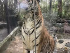 -海南热带野生动植物园