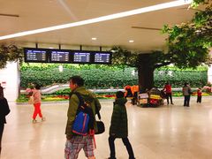 -杭州萧山国际机场