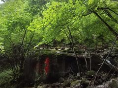 -青峰峡国家森林公园