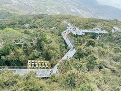 -亚龙湾热带天堂森林公园