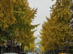 -奎星楼街