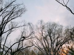 -青城公园