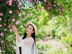 -鹅湖玫瑰文化园