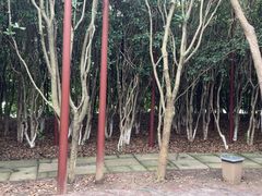 -八卦田遗址公园