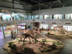-自贡恐龙博物馆