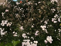 -范特西FANTASY量贩式KTV(民主广场店)