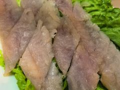 -金砂阿洲鱼册店