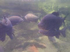 -南昌海洋公园