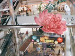 -巴黎春天(浦建店)