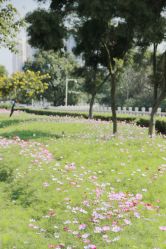 -番禺儿童公园