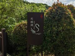 -厦门悦华酒店