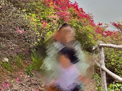 -木兰云雾山