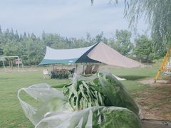 -前小桔亲子创意农场·草莓采摘·露营烧烤