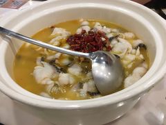 -蜀腾川·火锅鱼.烤鱼(新世界城店)