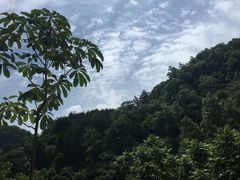 -黎坪国家森林公园