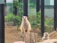 -大连森林动物园